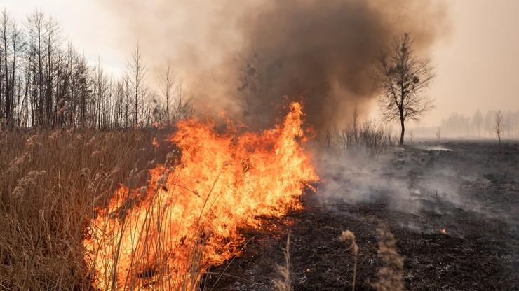 Biebrzański Park Narodowy wciąż płonie. Ministrowie wysyłają śmigłowce do akcji gaśniczej