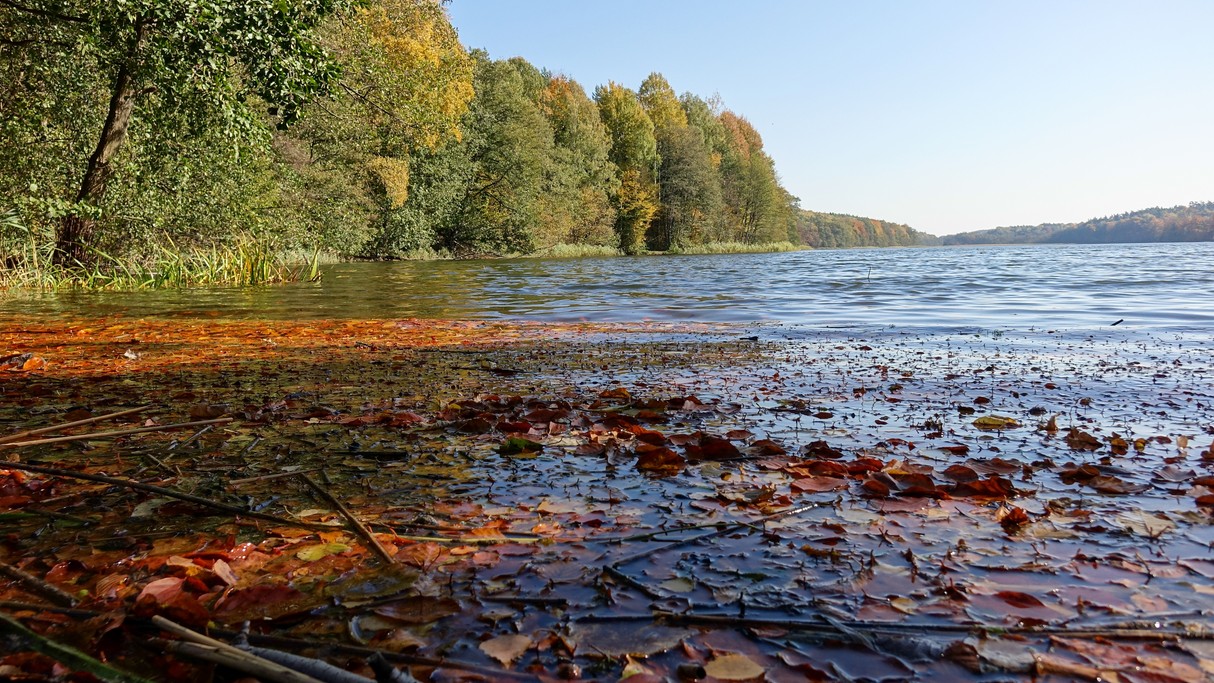 Październik w obiektywie - zdjęcie 30