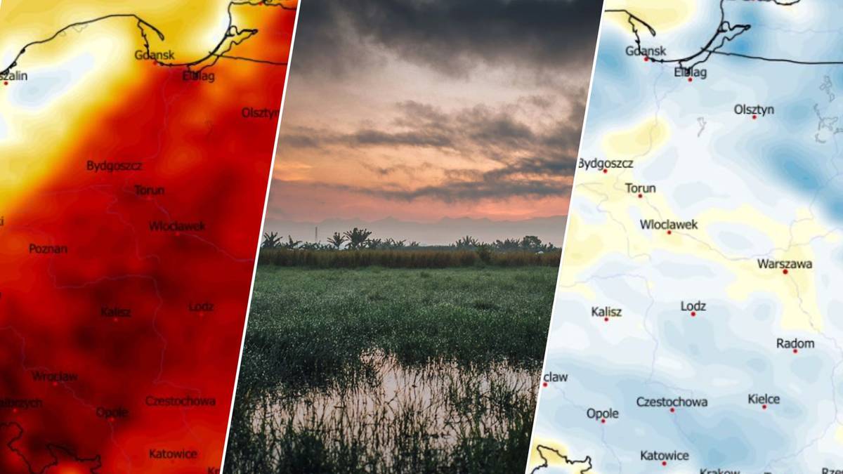 Fragmenty map synoptycznych pokazujące r&oacute;żne temperatury i opady, połączone z widokiem na zach&oacute;d słońca nad podmokłym terenem.