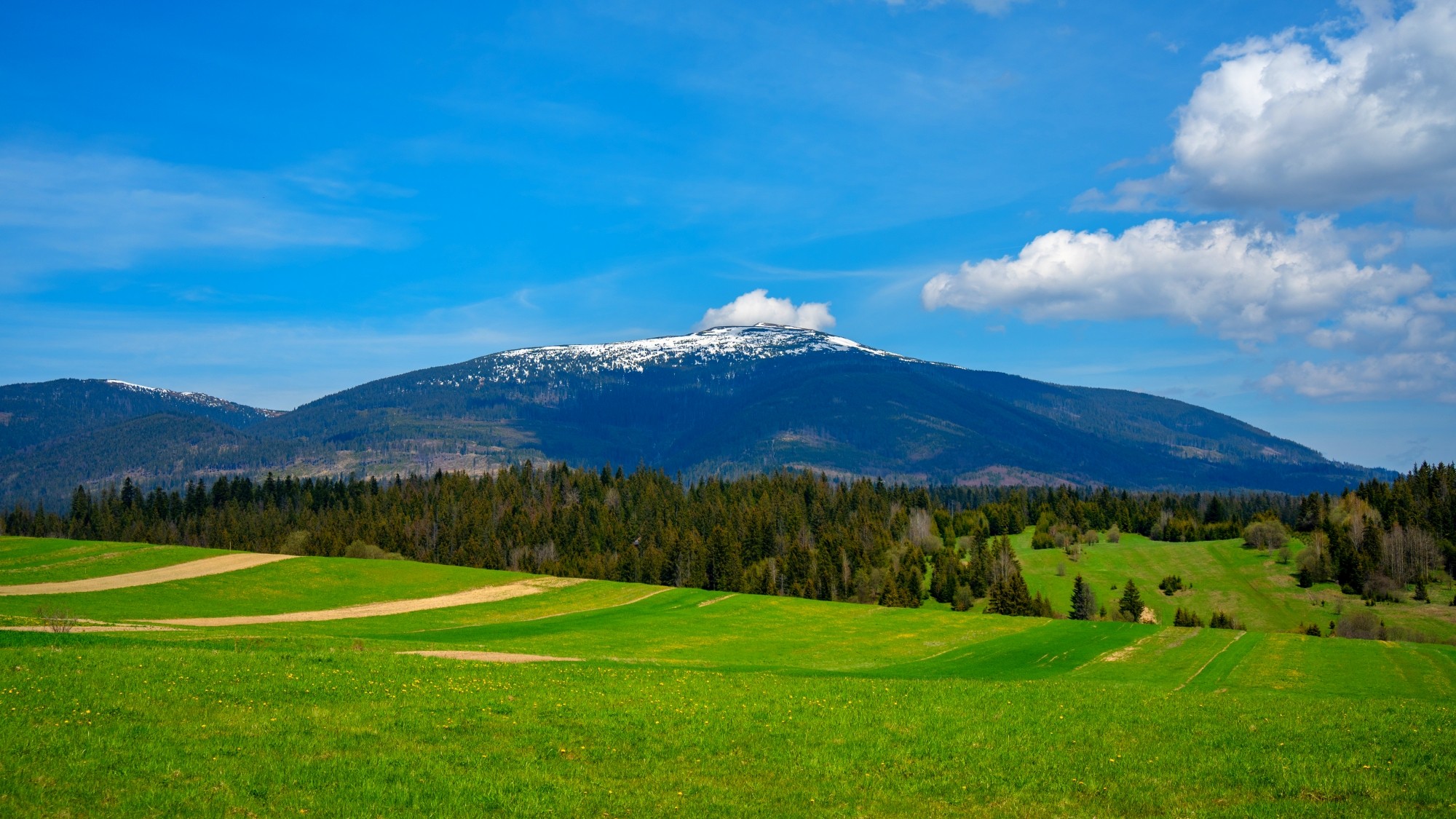 Zachwycający maj - zdjęcie 31