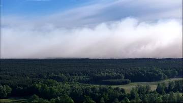 Potężny pożar na Mazowszu, 100 ha lasu w ogniu. Nowe informacje