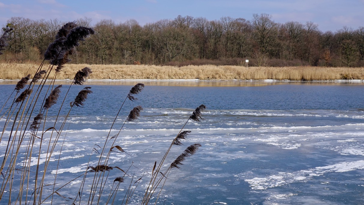 Luty w obiektywie - zdjęcie 24