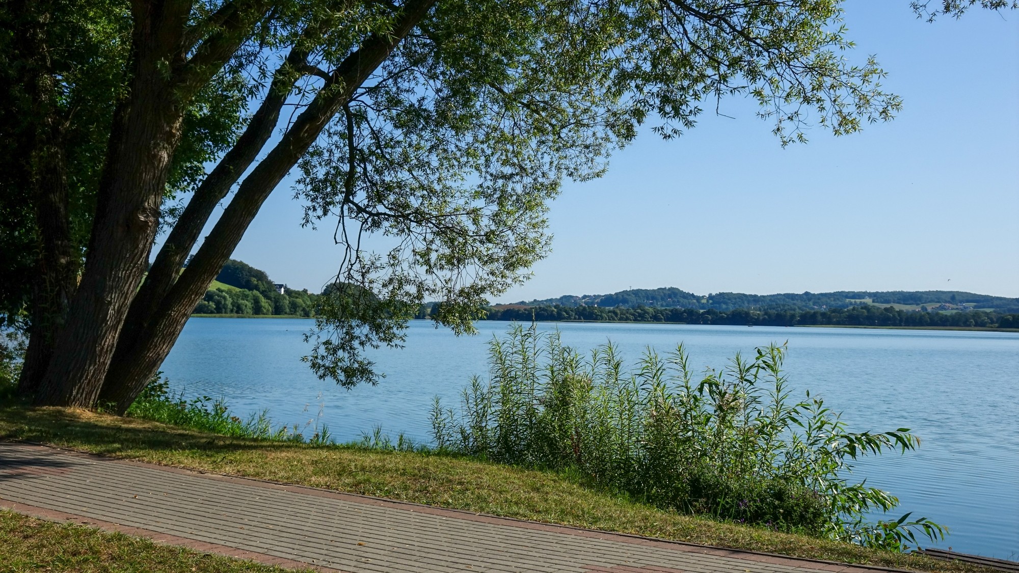 Późne lato na łonie natury - zdjęcie 5