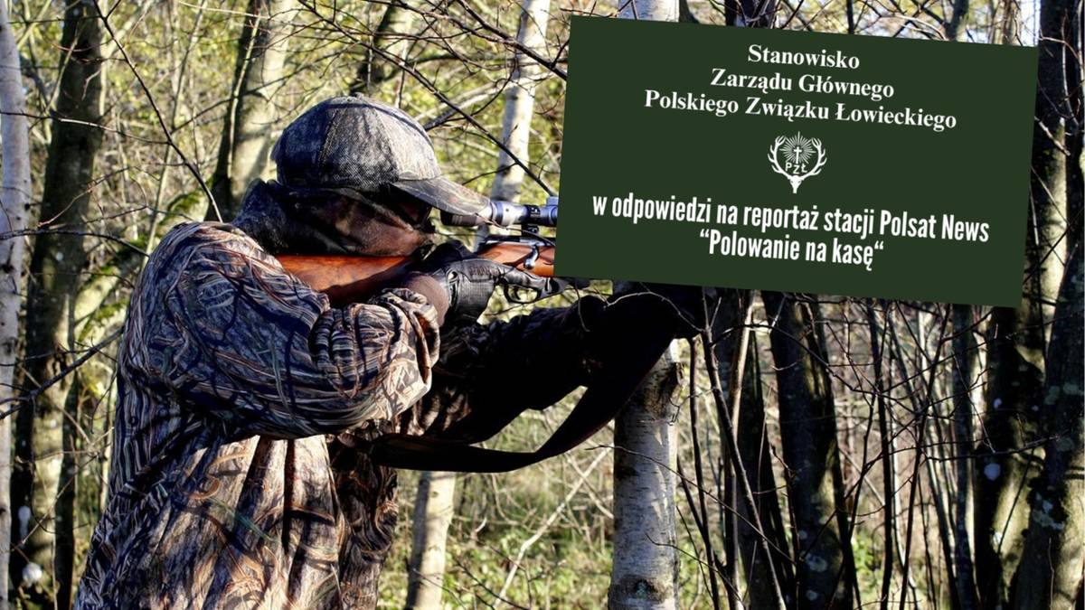 Polski Związek Łowiecki reaguje po reportażu Polsat News. "Kłusownictwo jest karalne"