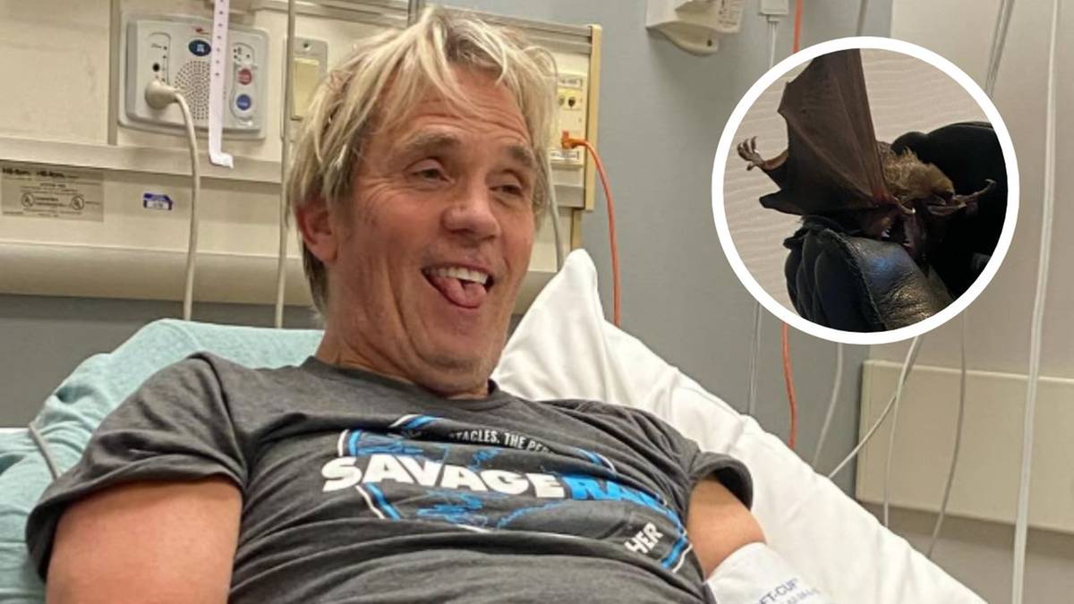 Legenda wrestlingu w szarej koszulce leży w szpitalnym łóżku z wystawionym językiem. Obok mniejszy obrazek przedstawiający nietoperza ugryzionego w oko przez innego nietoperza.