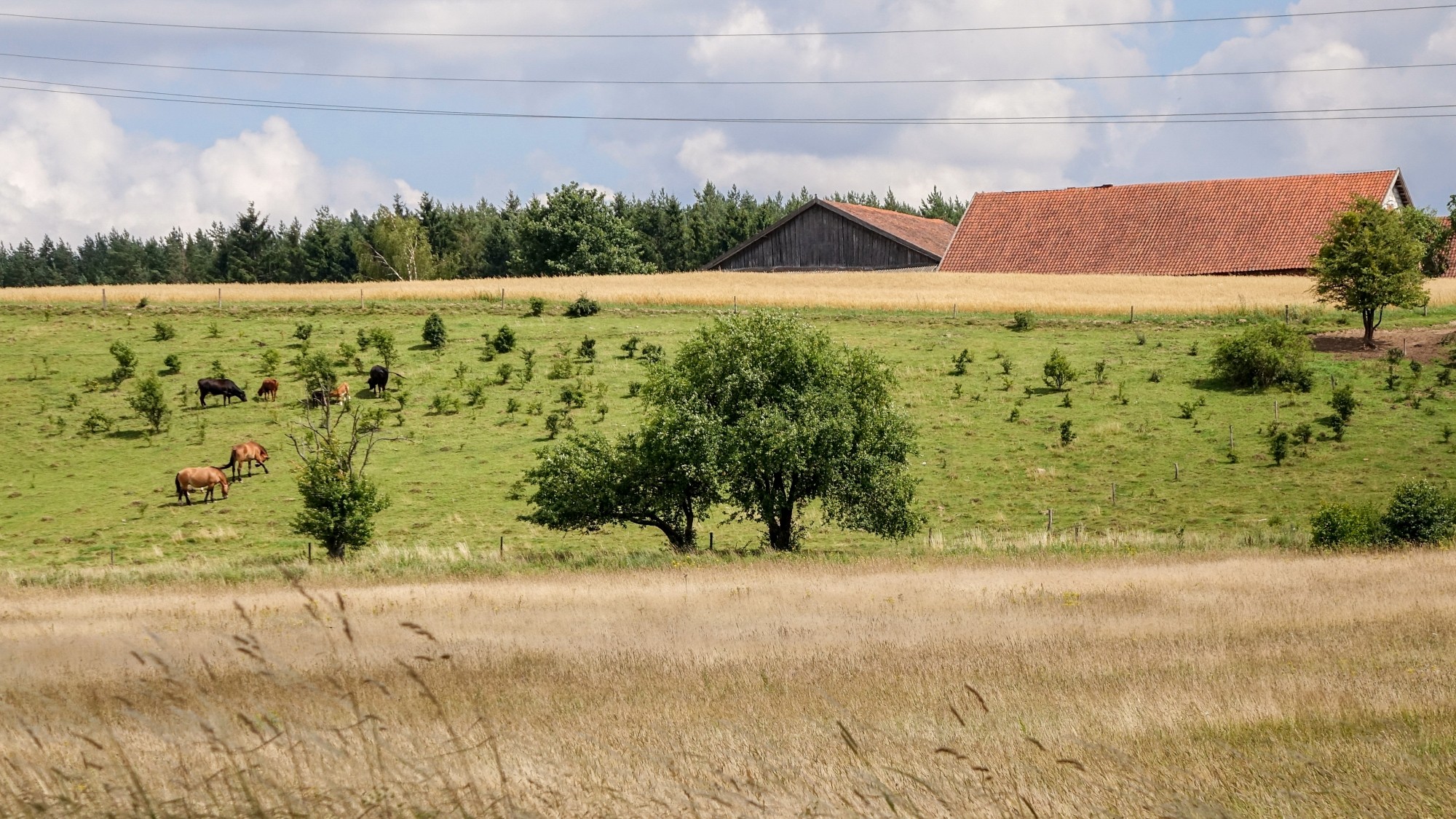 Odkryj piękno Polski w wakacje - zdjęcie 94