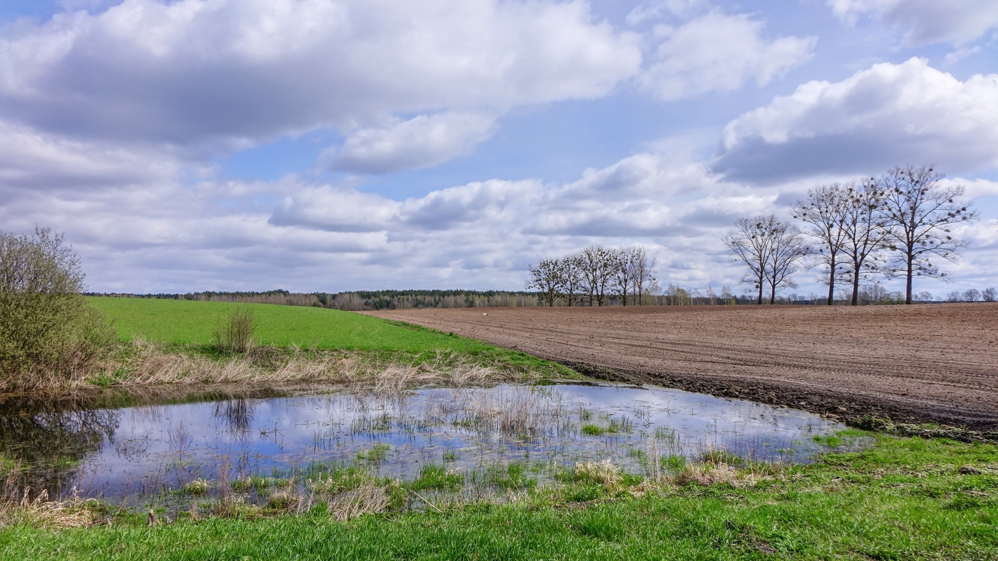 Mazury wiosną - zdjęcie 49