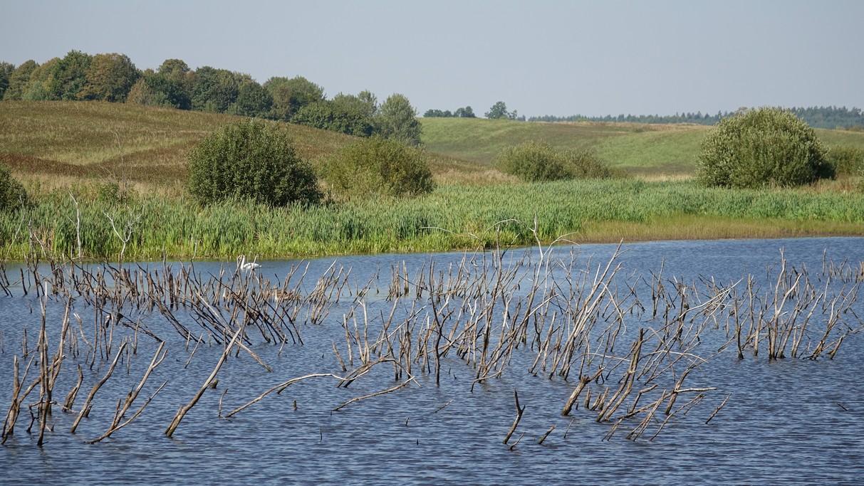 Piękno polskich krajobrazów - zdjęcie 31