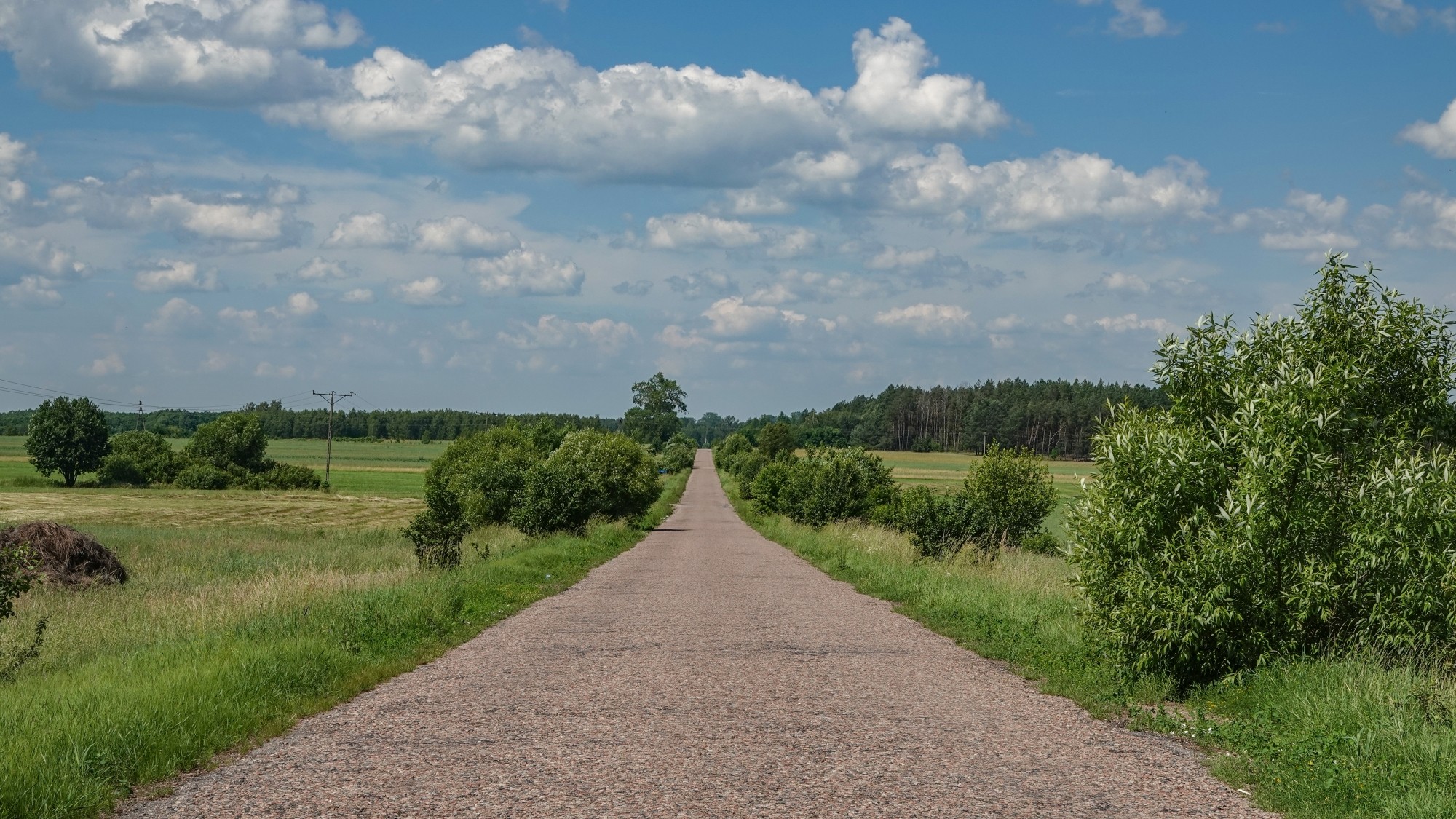 Letnie klimaty na łonie natury - zdjęcie 17