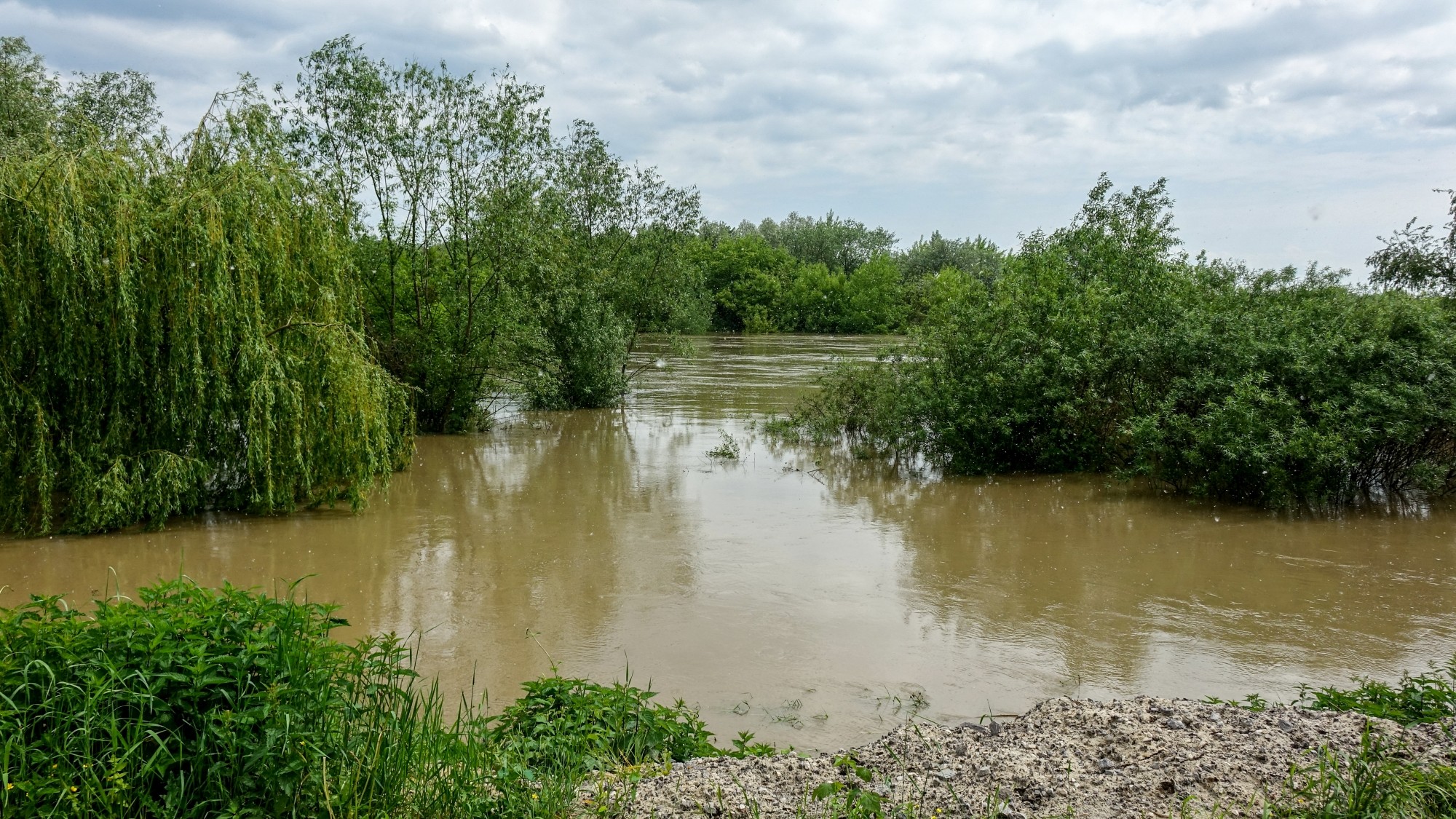 Majowa powódź w Polsce - zdjęcie 47