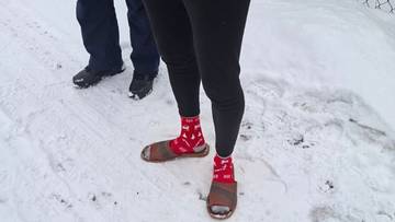 Wyważył drzwi. Zjadł właścicielowi kiełbasę, włożył cudze skarpety i poszedł spać