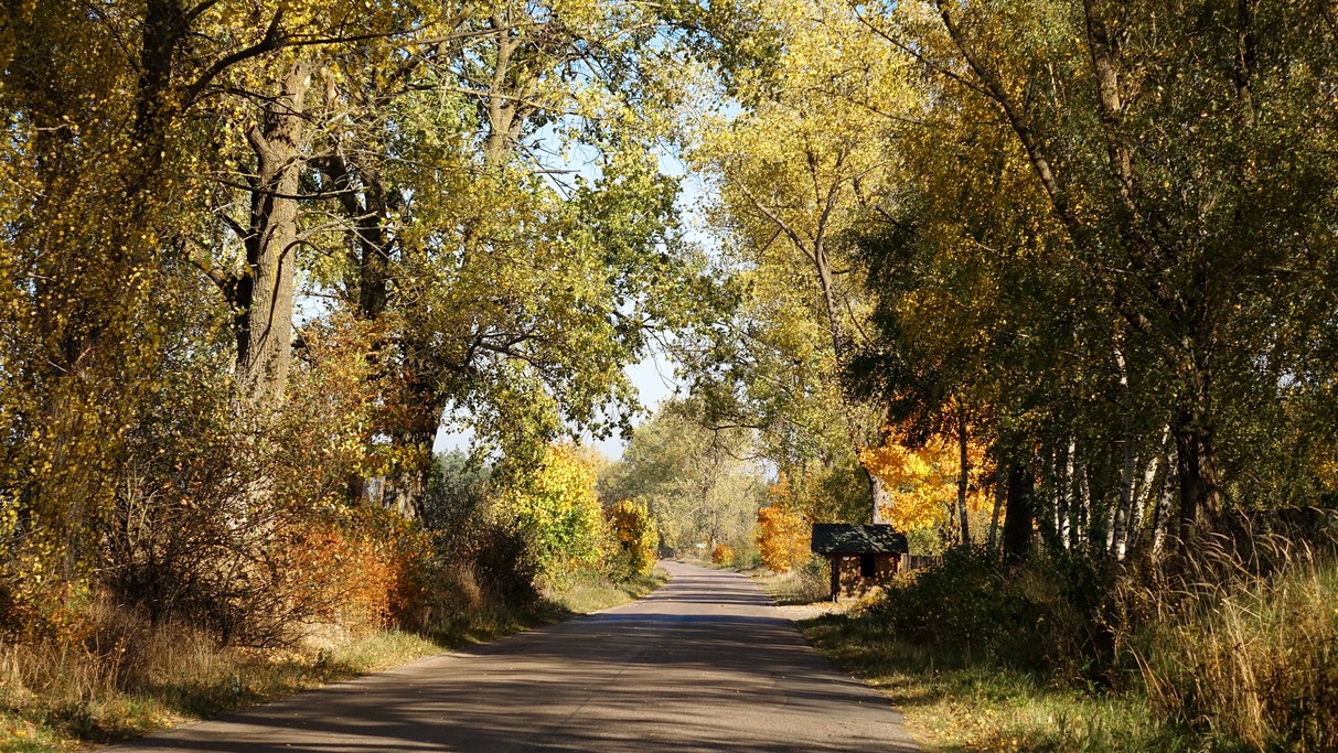 Październik w obiektywie - zdjęcie 70