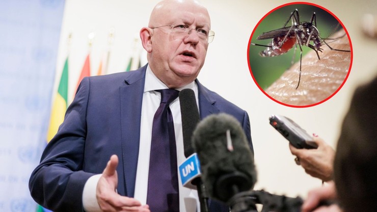 Wojna w Ukrainie. Kolejne oskarżenia Rosjan. Tym razem "zakażone komary"