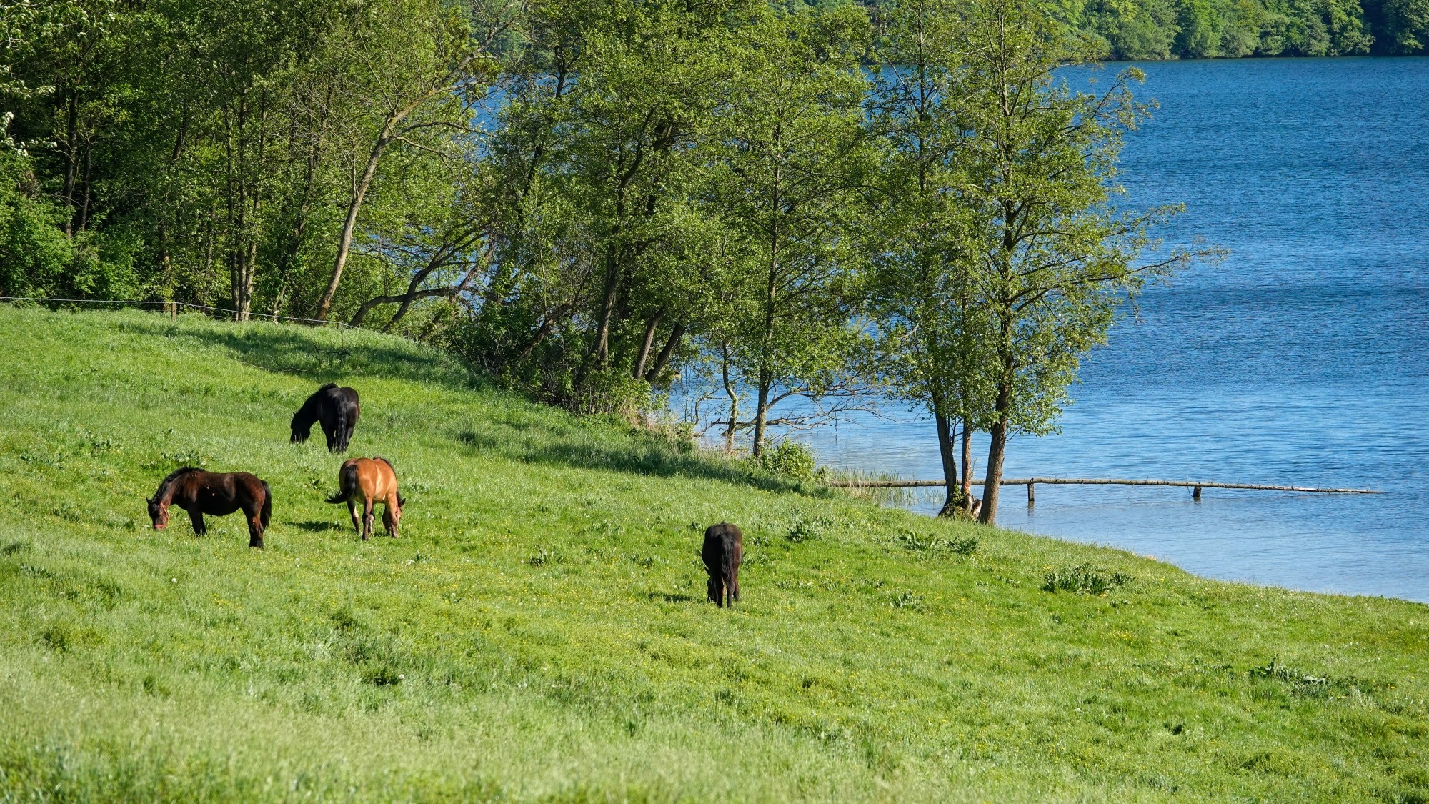 100 najpiękniejszych zdjęć 2021 roku - zdjęcie 32