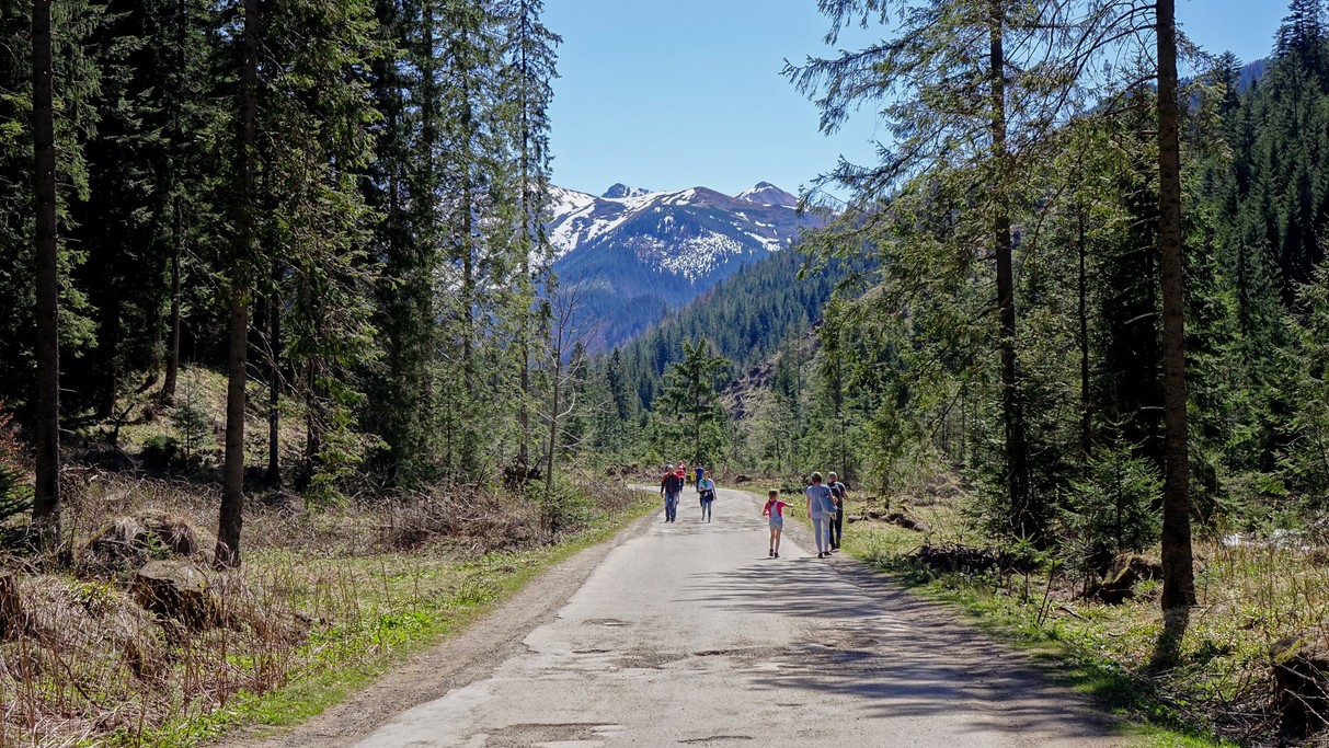 Majówka w Tatrach - zdjęcie 21