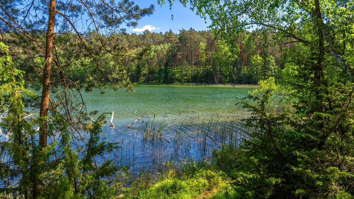 Park Narodowy Bory Tucholskie. Fot. TwojaPogoda.pl