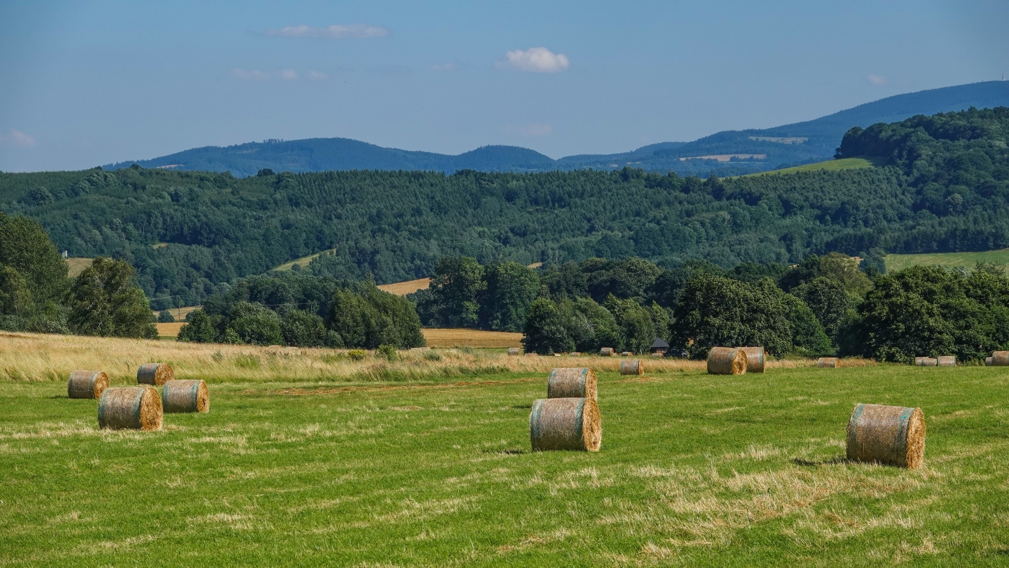 100 najpiękniejszych zdjęć 2021 roku - zdjęcie 21