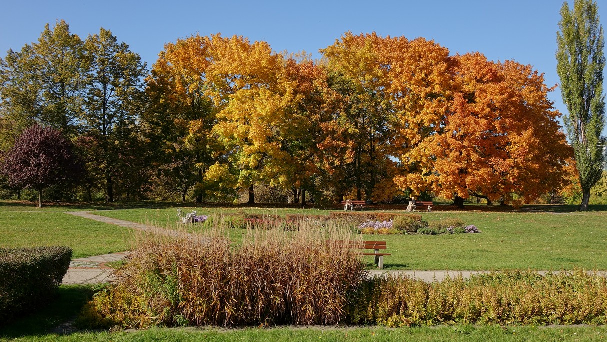 Barwy jesieni - zdjęcie 6