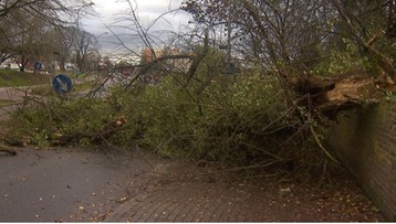 Orkan Grzegorz nadciąga nad Polskę. Będzie łamać drzewa i zrywać linie energetyczne