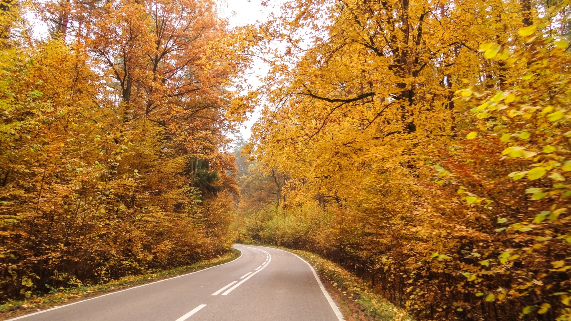 Urocze zakątki w lasach - zdjęcie 79