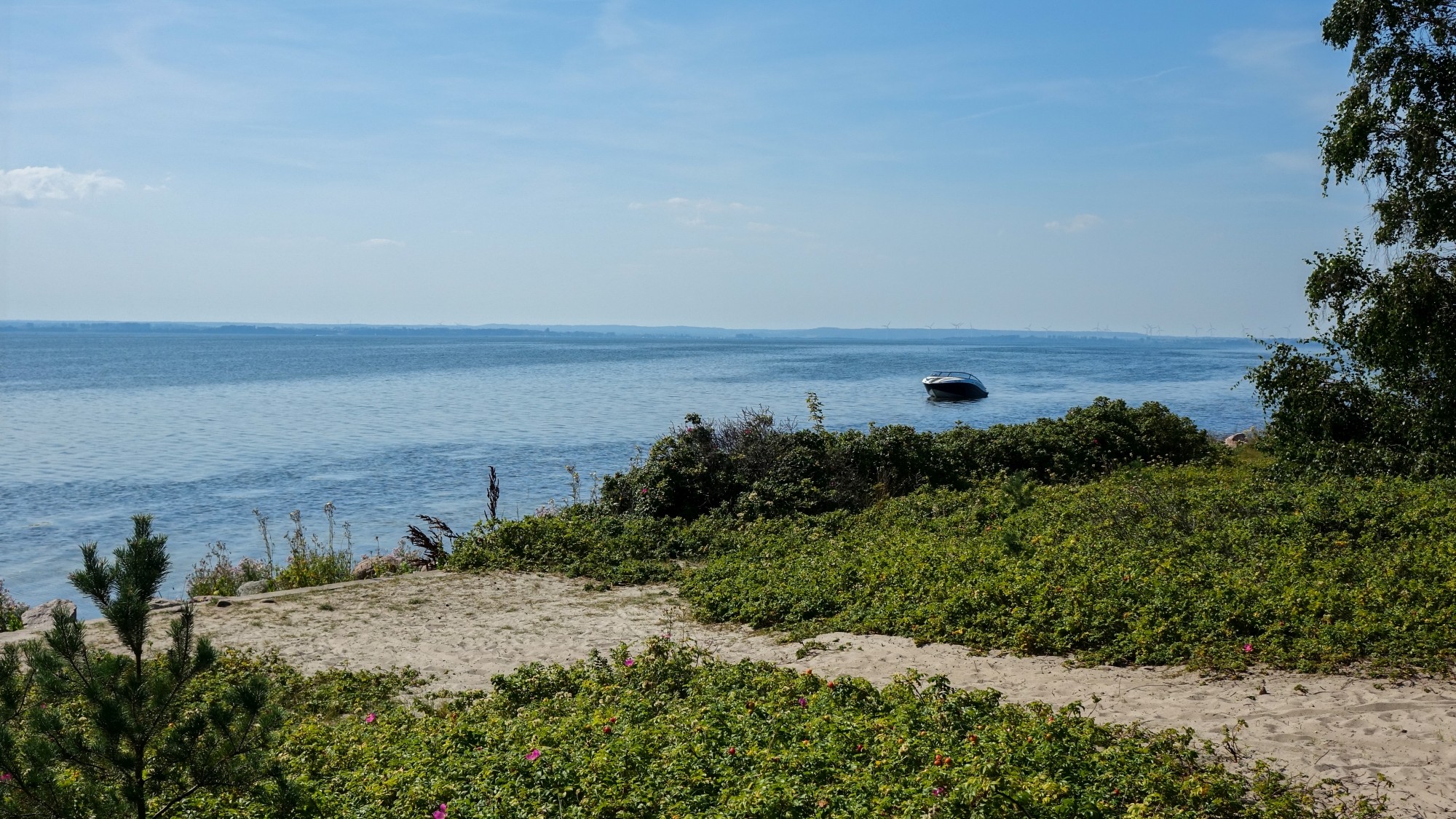 Sierpień w obiektywie - zdjęcie 47