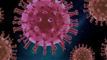 Nowy wariant koronawirusa we Francji. Nie wykrywają go testy PCR