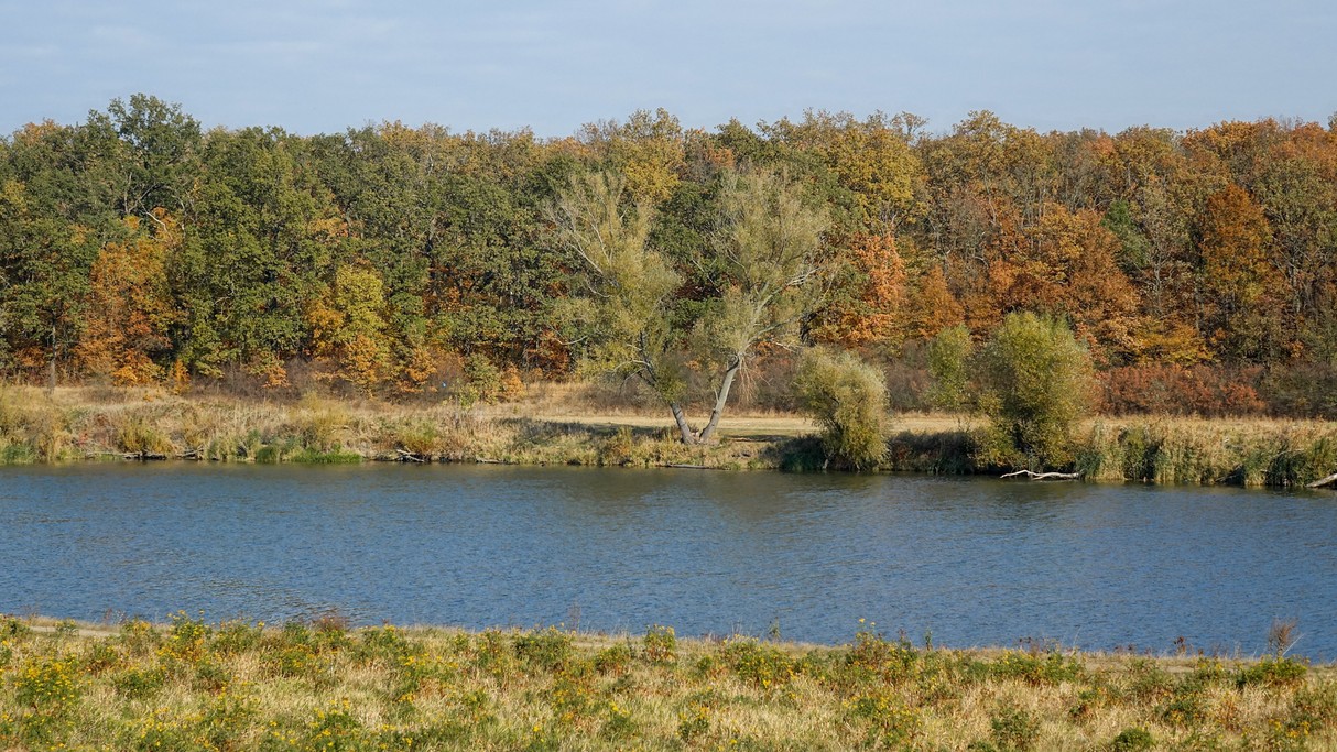 Jesienne klimaty - zdjęcie 21