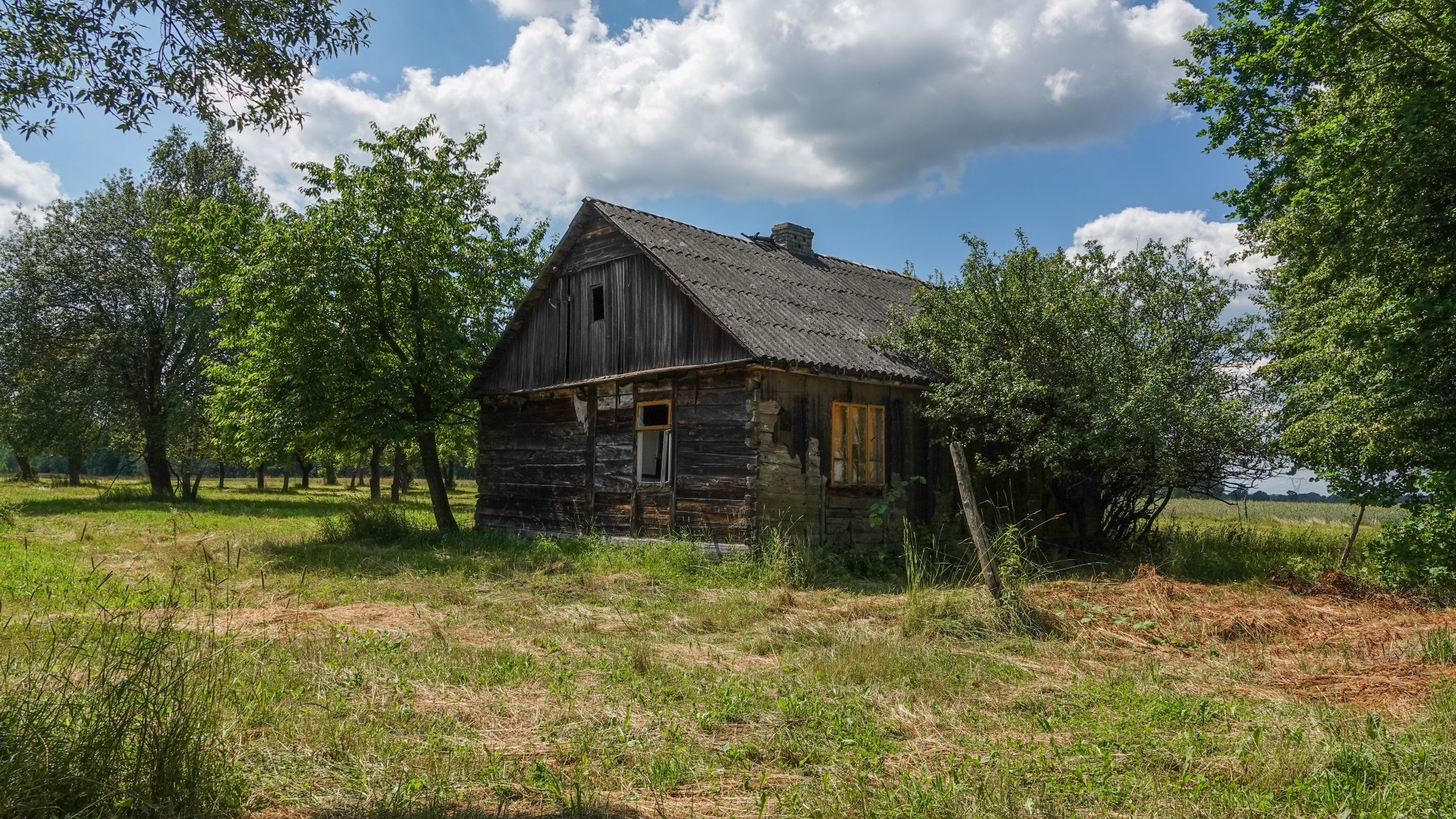 Środek lata w plenerze - zdjęcie 10