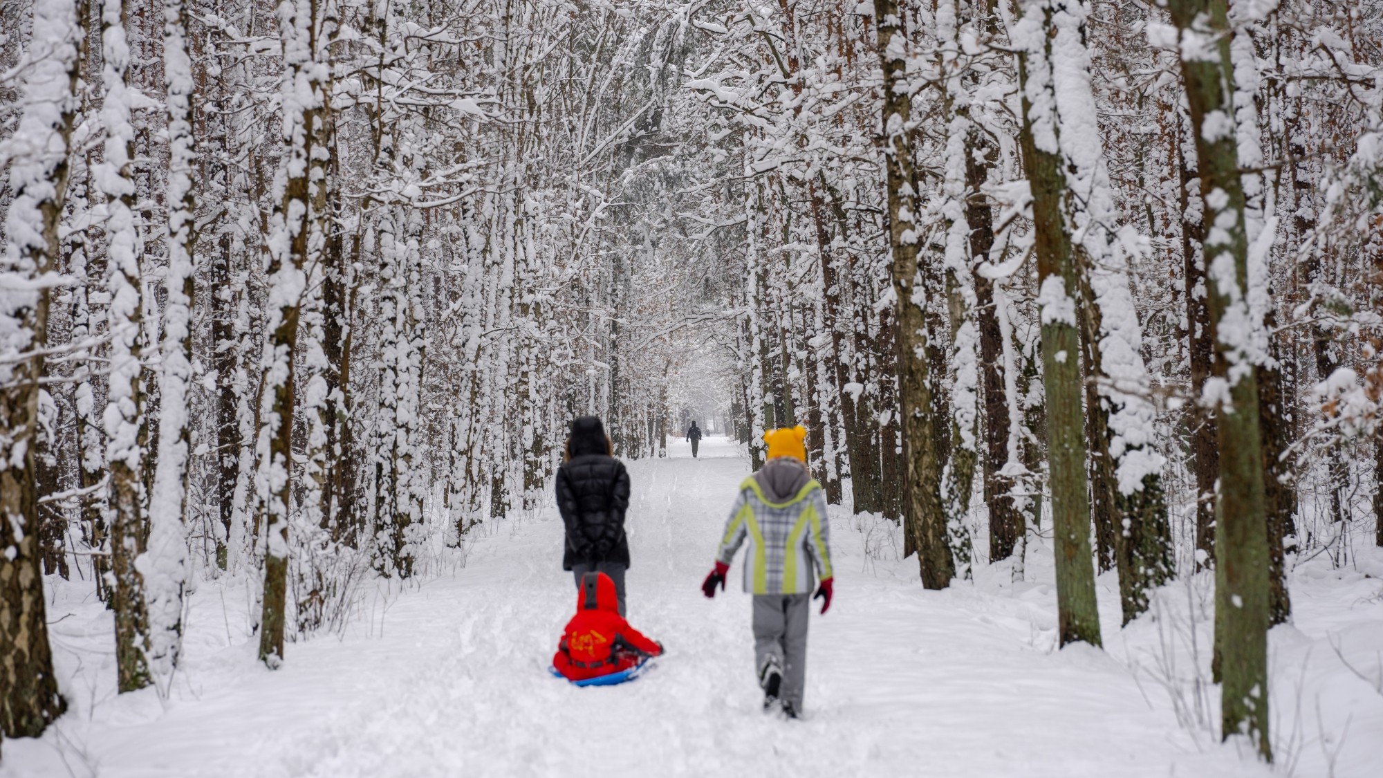 Miejska przyroda - zdjęcie 5