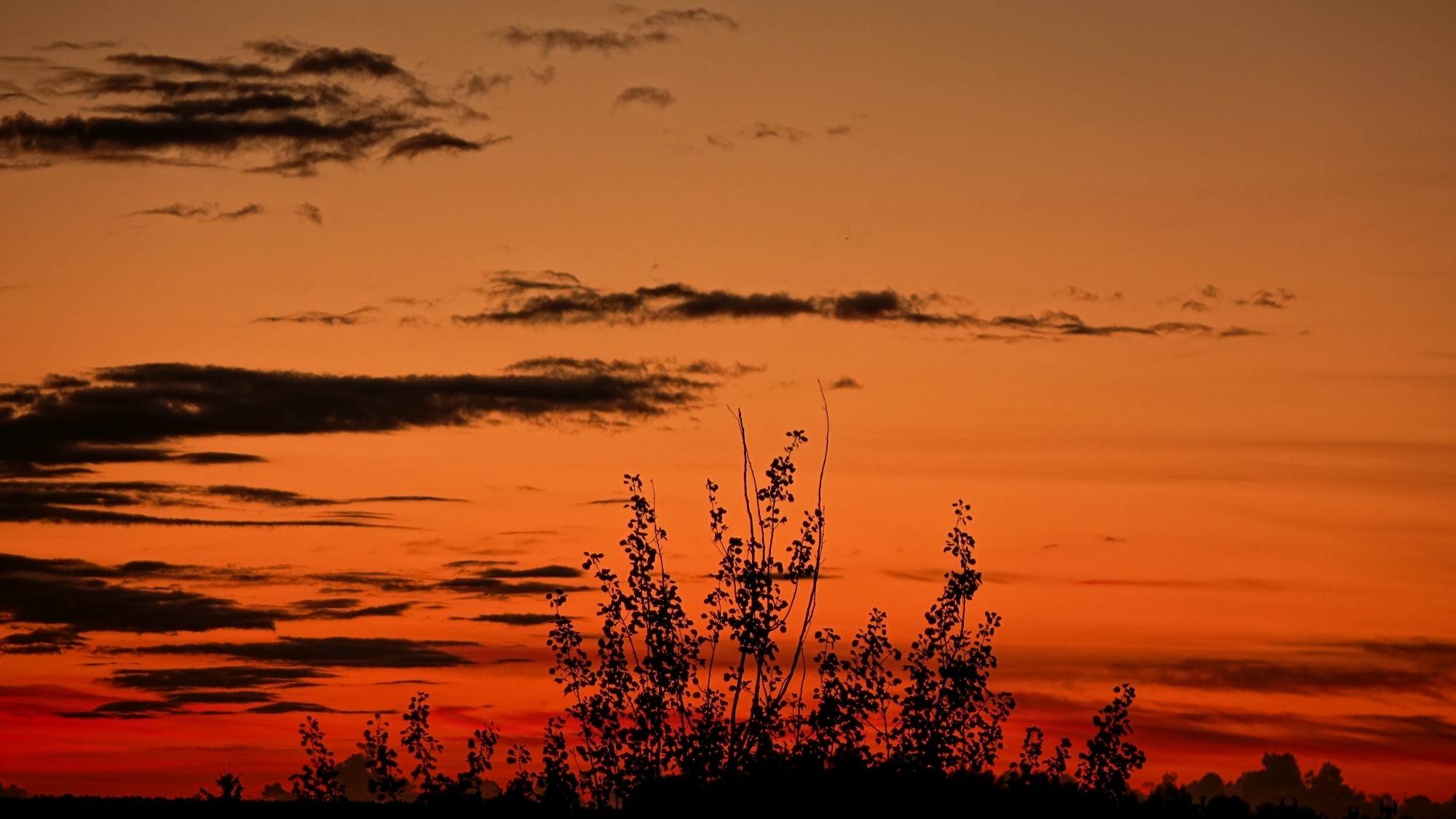 Romantyczne zachody Słońca - zdjęcie 14