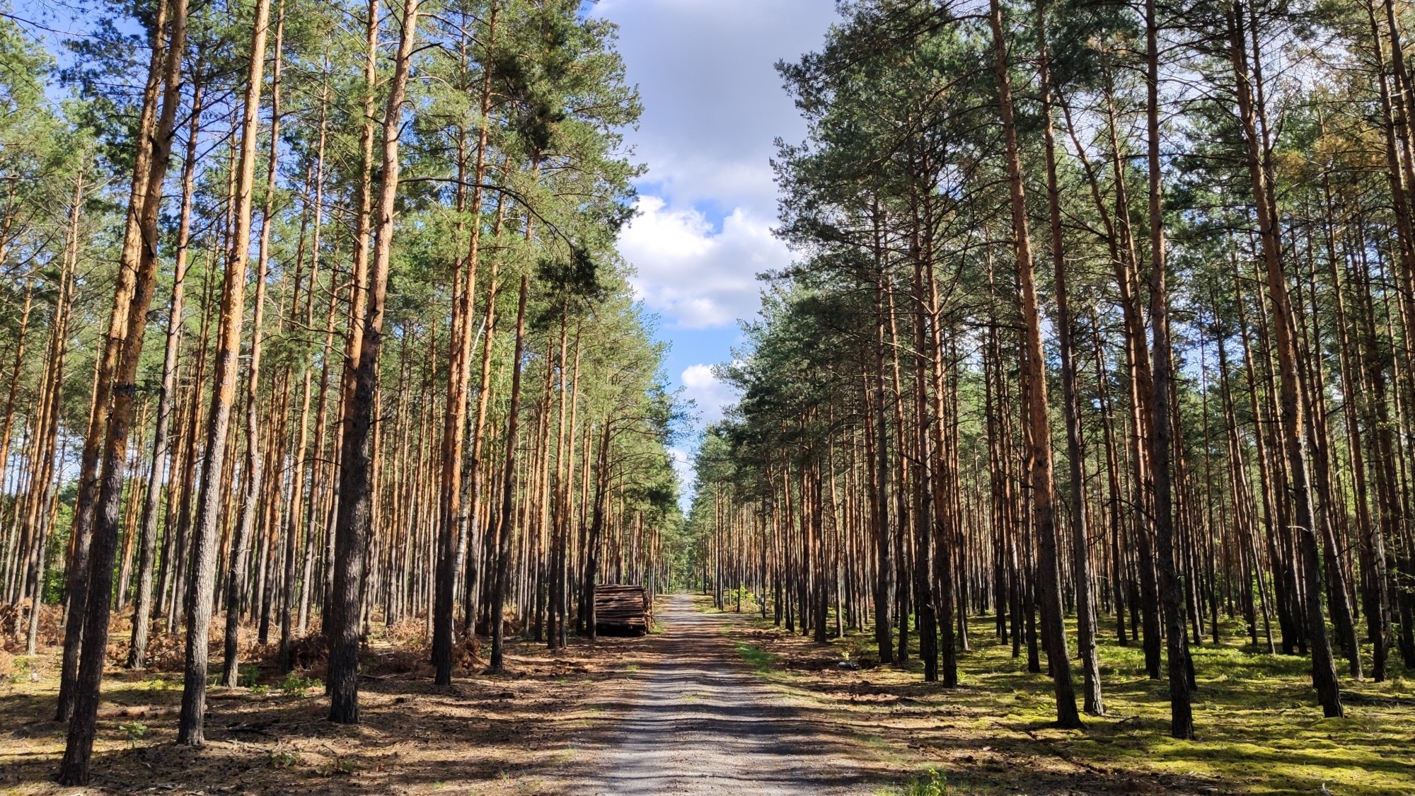 Wrzesień w obiektywie - zdjęcie 55
