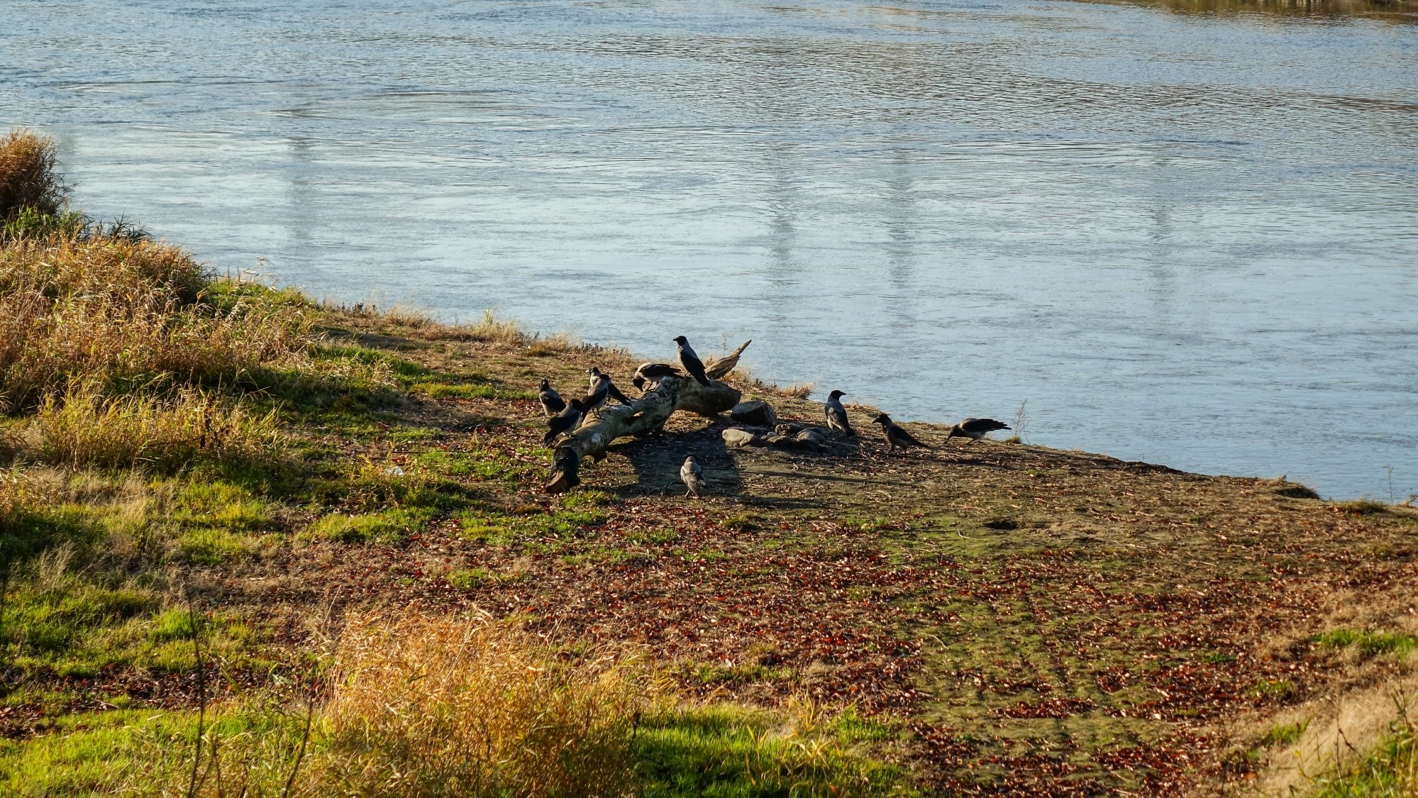 Listopad w obiektywie - zdjęcie 35