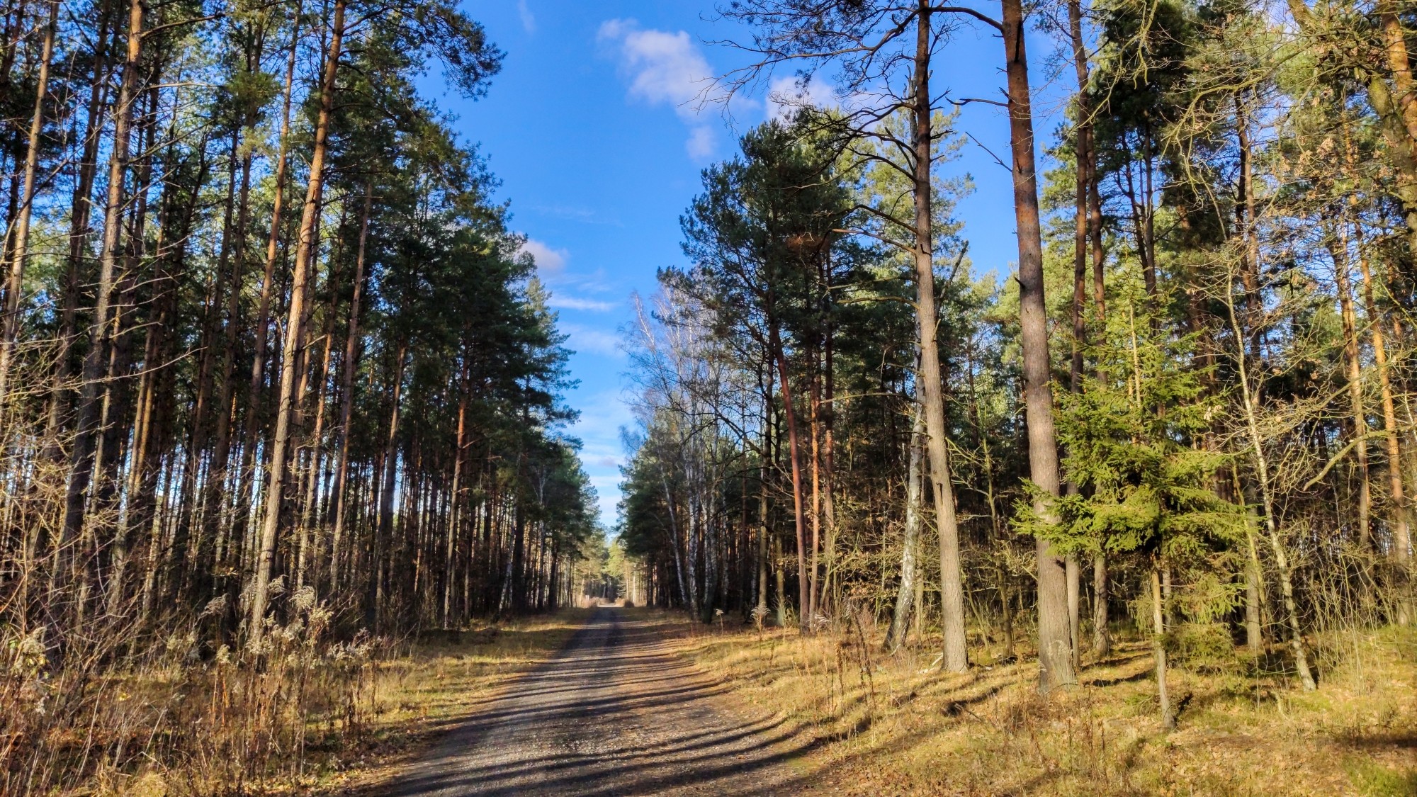 Listopad w obiektywie - zdjęcie 30