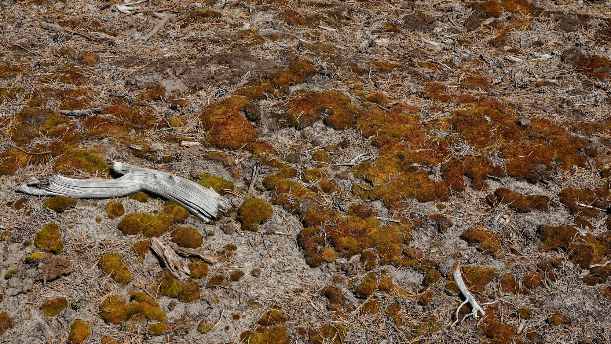 Kwiecień w obiektywie - zdjęcie 75