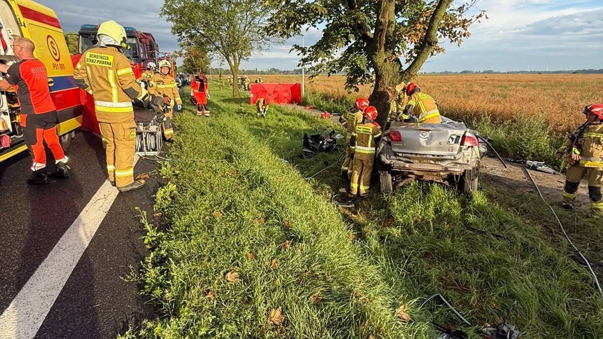Tragiczny wypadek pod Grodziskiem Wlkp. Nie żyją dwaj młodzi mężczyźni
