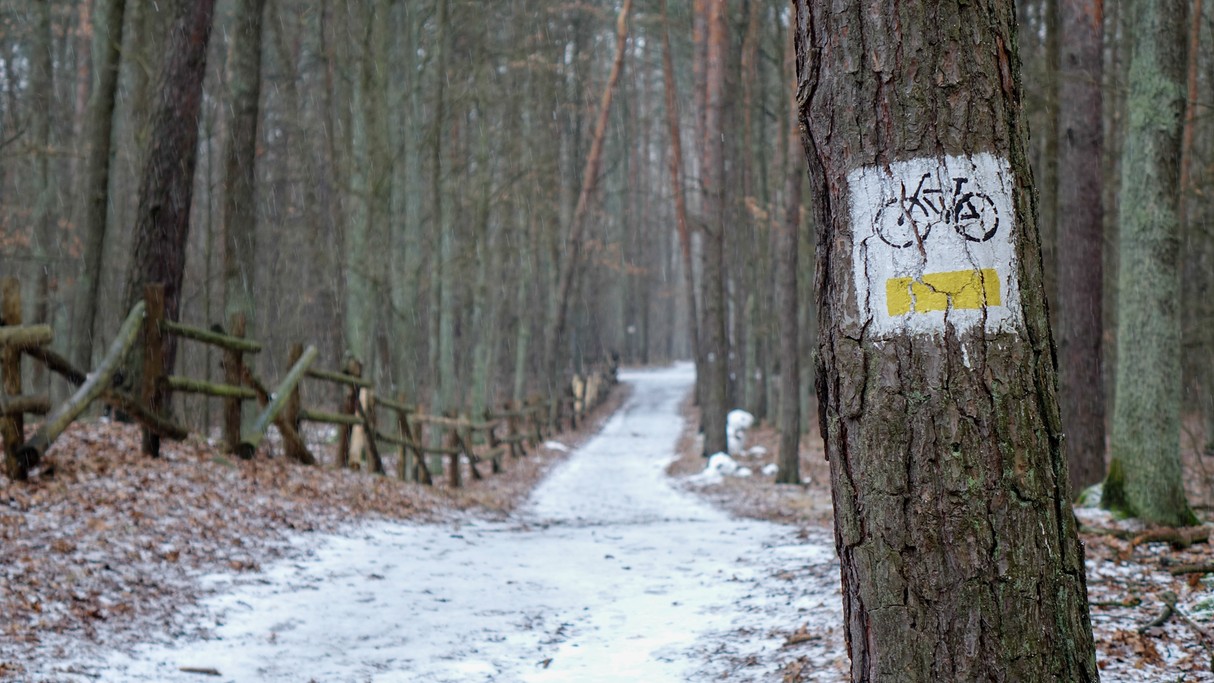 Styczeń w obiektywie - zdjęcie 57