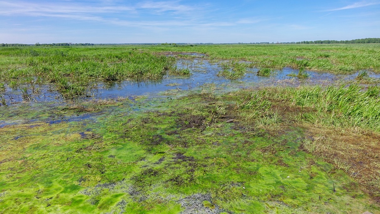 Czerwiec w obiektywie - zdjęcie 44