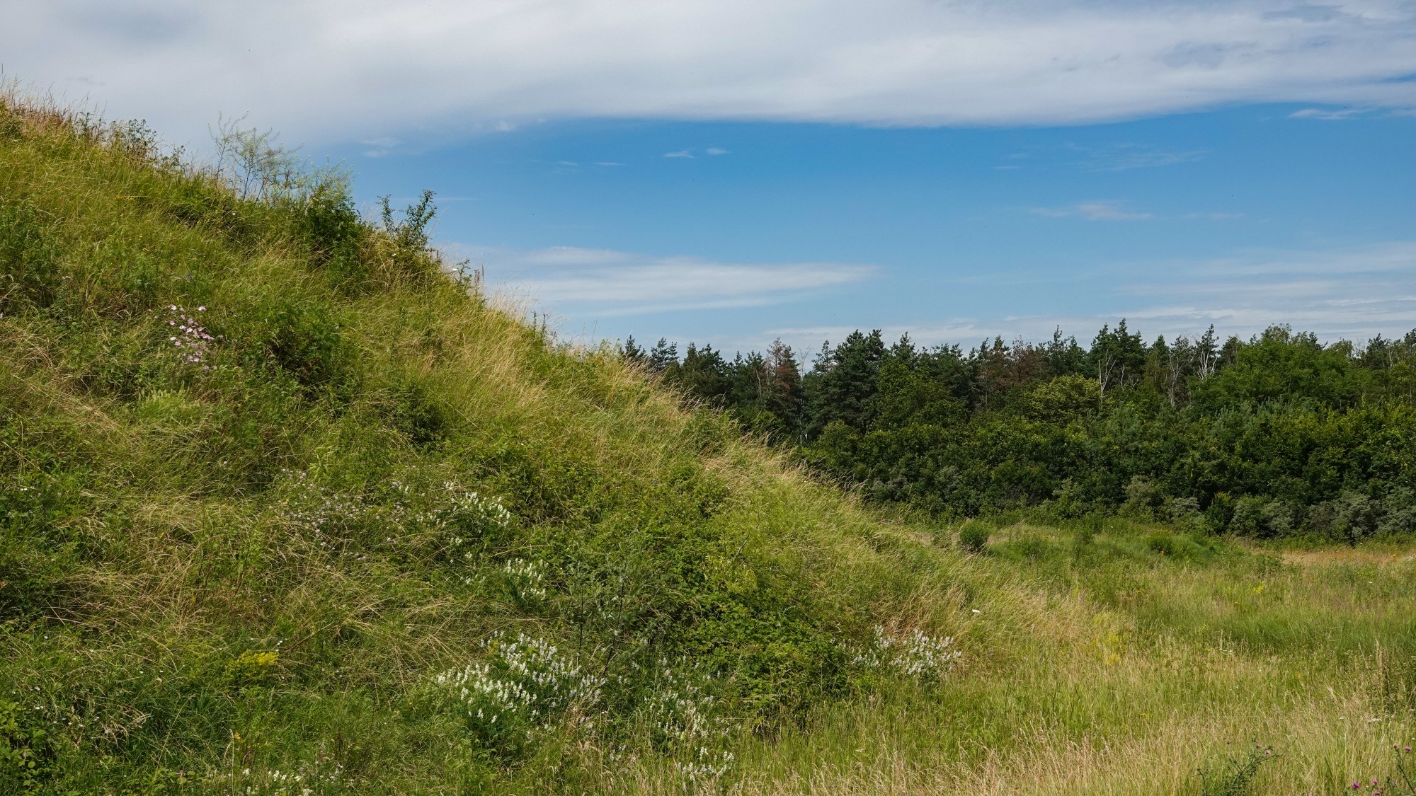 Podróż przez polską prowincję - zdjęcie 59