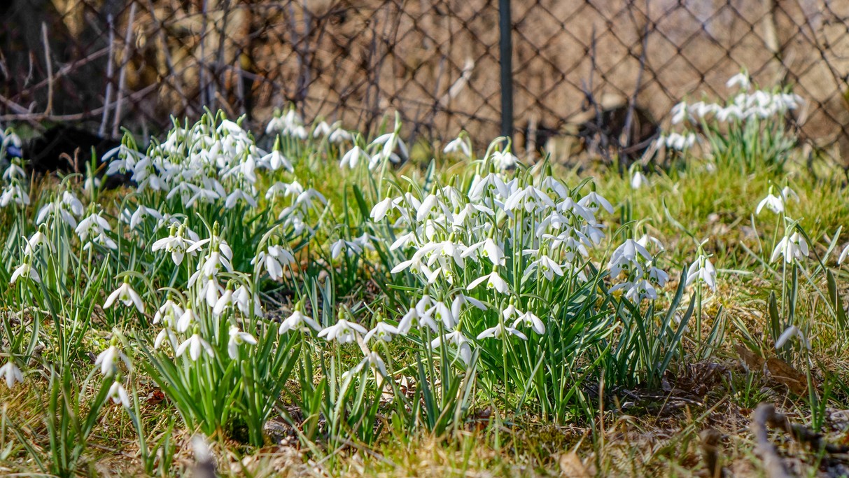 Marzec w obiektywie - zdjęcie 20