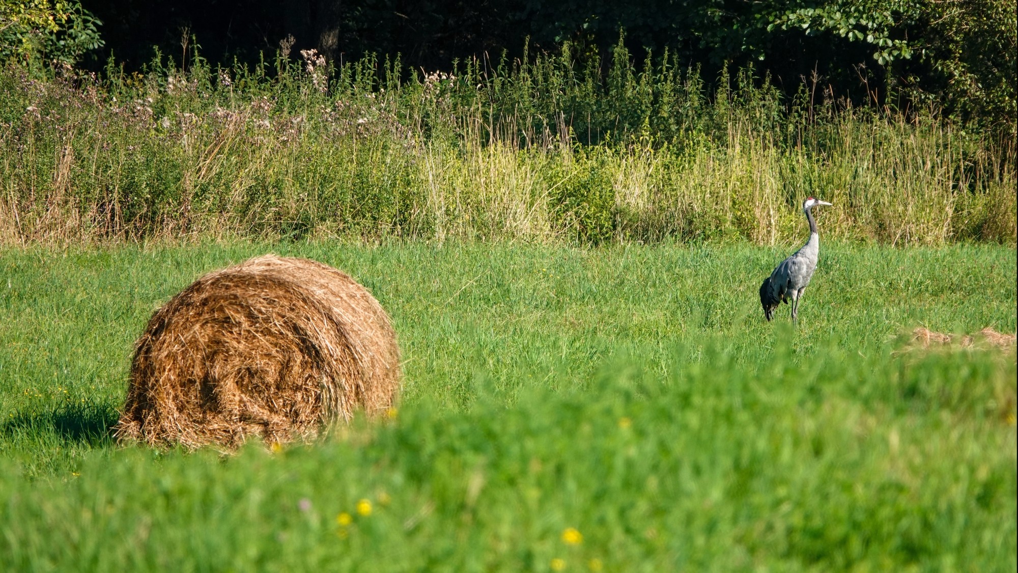 Wakacyjne podróże - zdjęcie 7