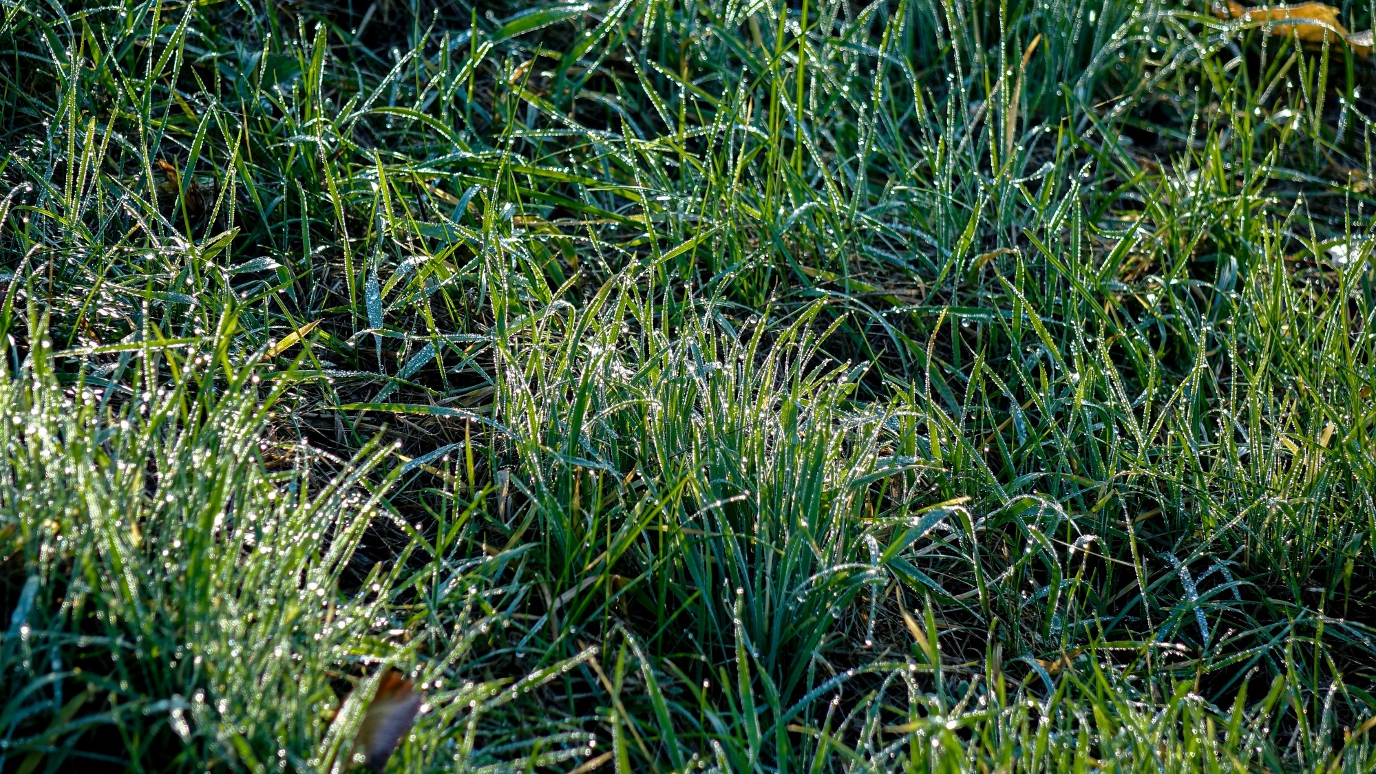 Listopad w obiektywie - zdjęcie 15