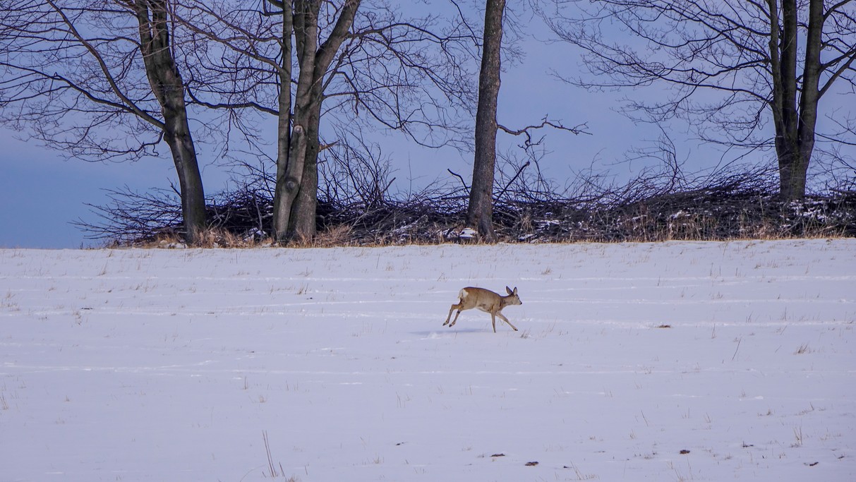 Zima w górach - zdjęcie 15