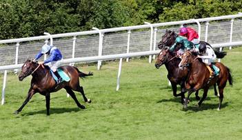 Prestiżowy wyścig na wzgórzach Goodwood. Gdzie obejrzeć Qatar Sussex Stakes? Transmisja TV i stream online