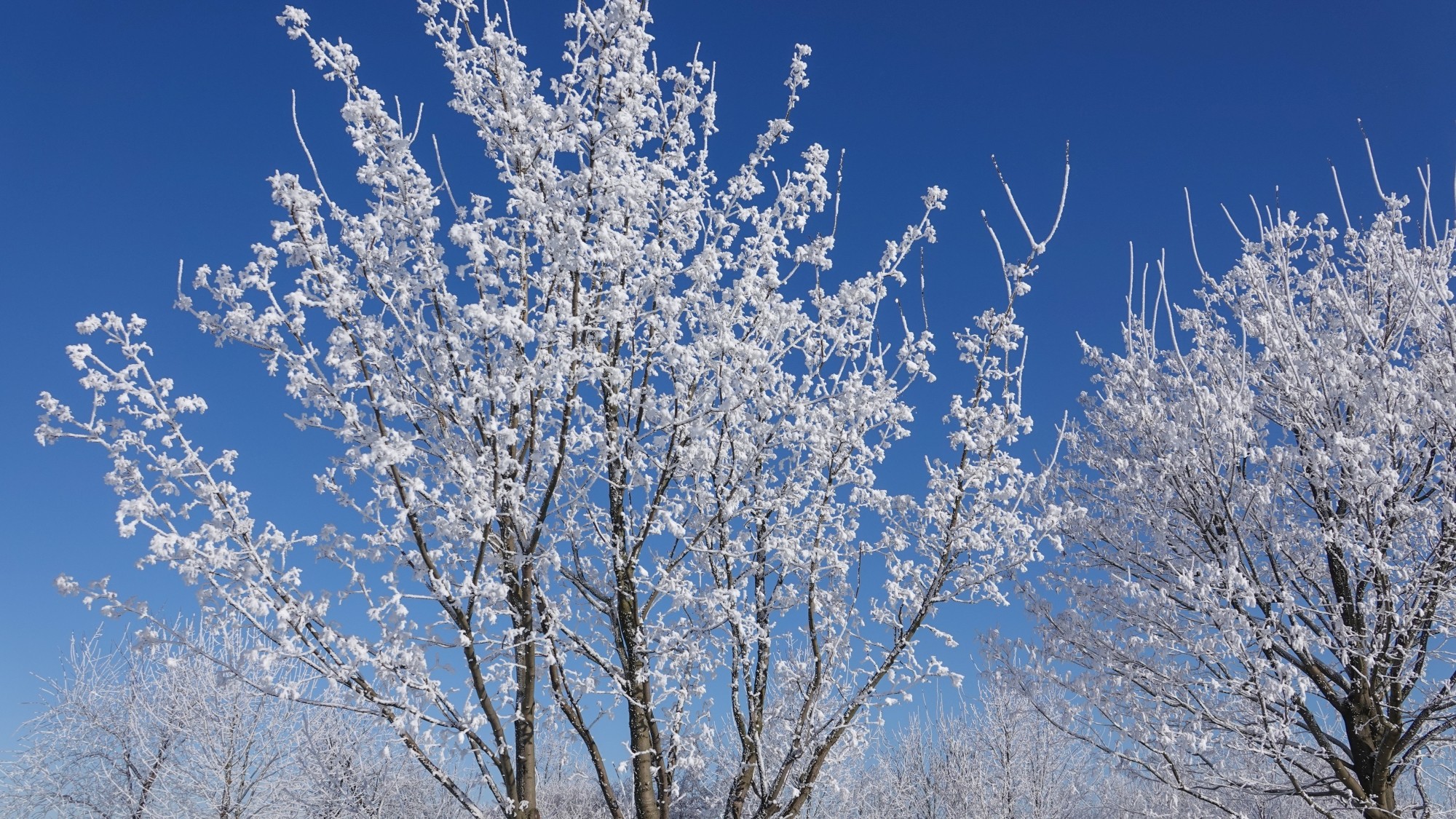 Kraina Narnii - zdjęcie 31