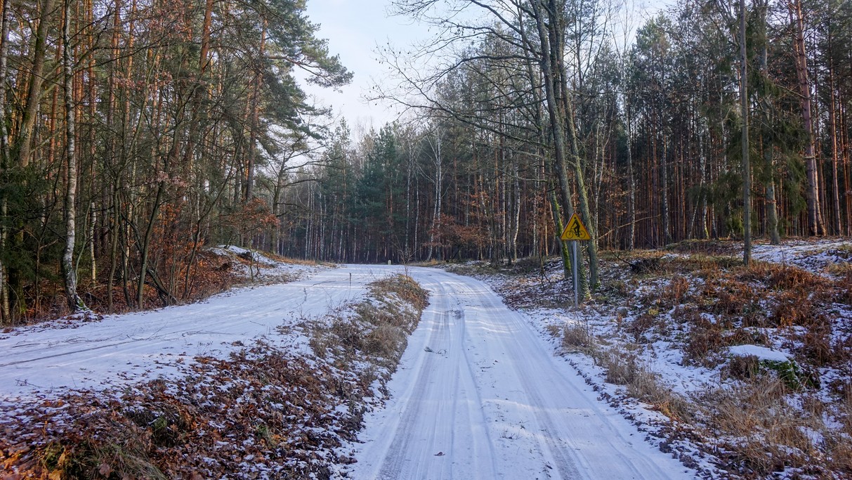 Styczeń w obiektywie - zdjęcie 24