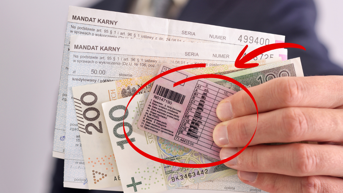 Ręka trzymająca polskie banknoty 100 zł i 200 zł oraz prawo jazdy z zaznaczonym kodem 113.