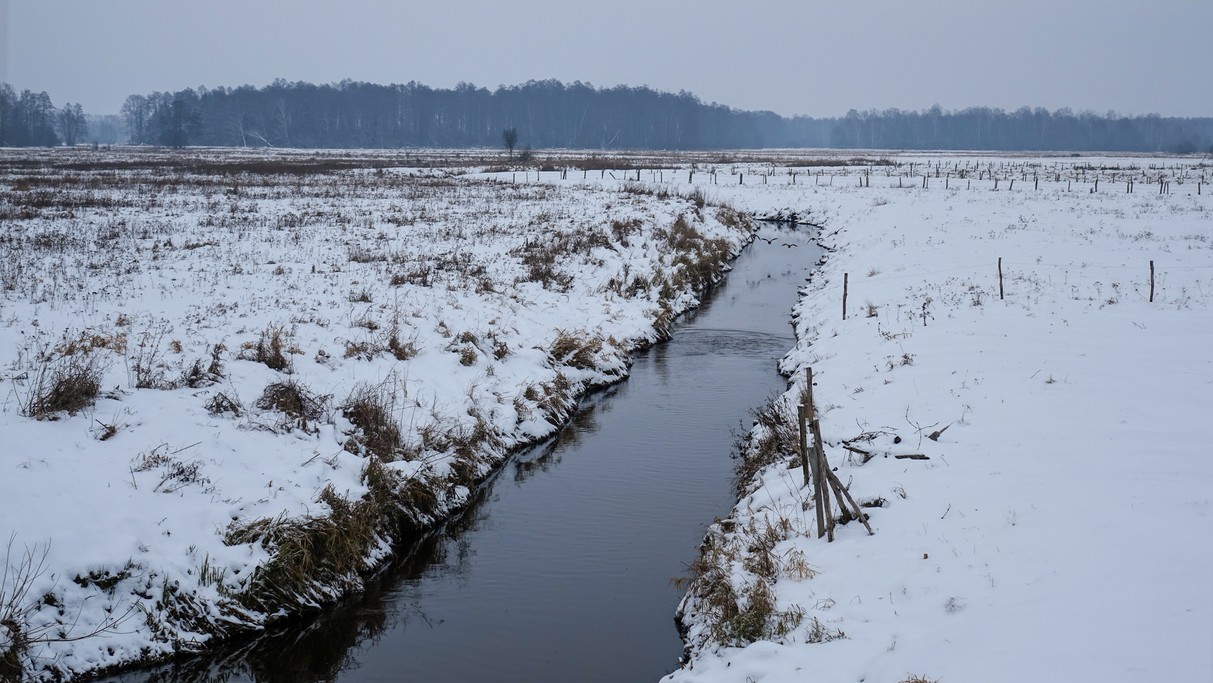 Styczeń w obiektywie - zdjęcie 27
