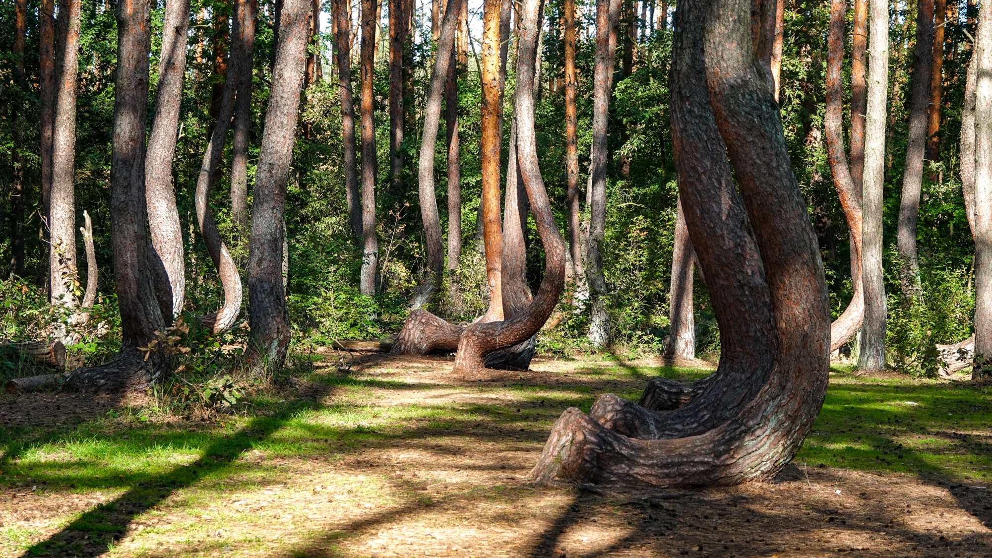 100 najpiękniejszych zdjęć 2020 roku - zdjęcie 50