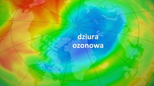 05.04.2020 07:00 Rekordowa dziura ozonowa nad Arktyką. Czegoś takiego jeszcze nie widziano. „To niebezpieczne”