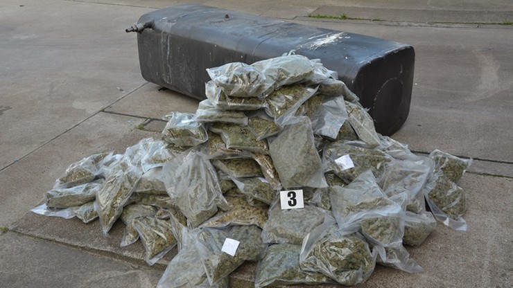 42 kg marihuany ukryte w samochodzie ciężarowym